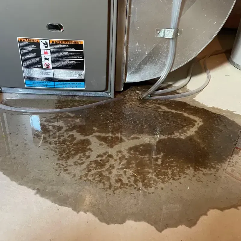 Appliance Leak Cleanup in Denver, IA